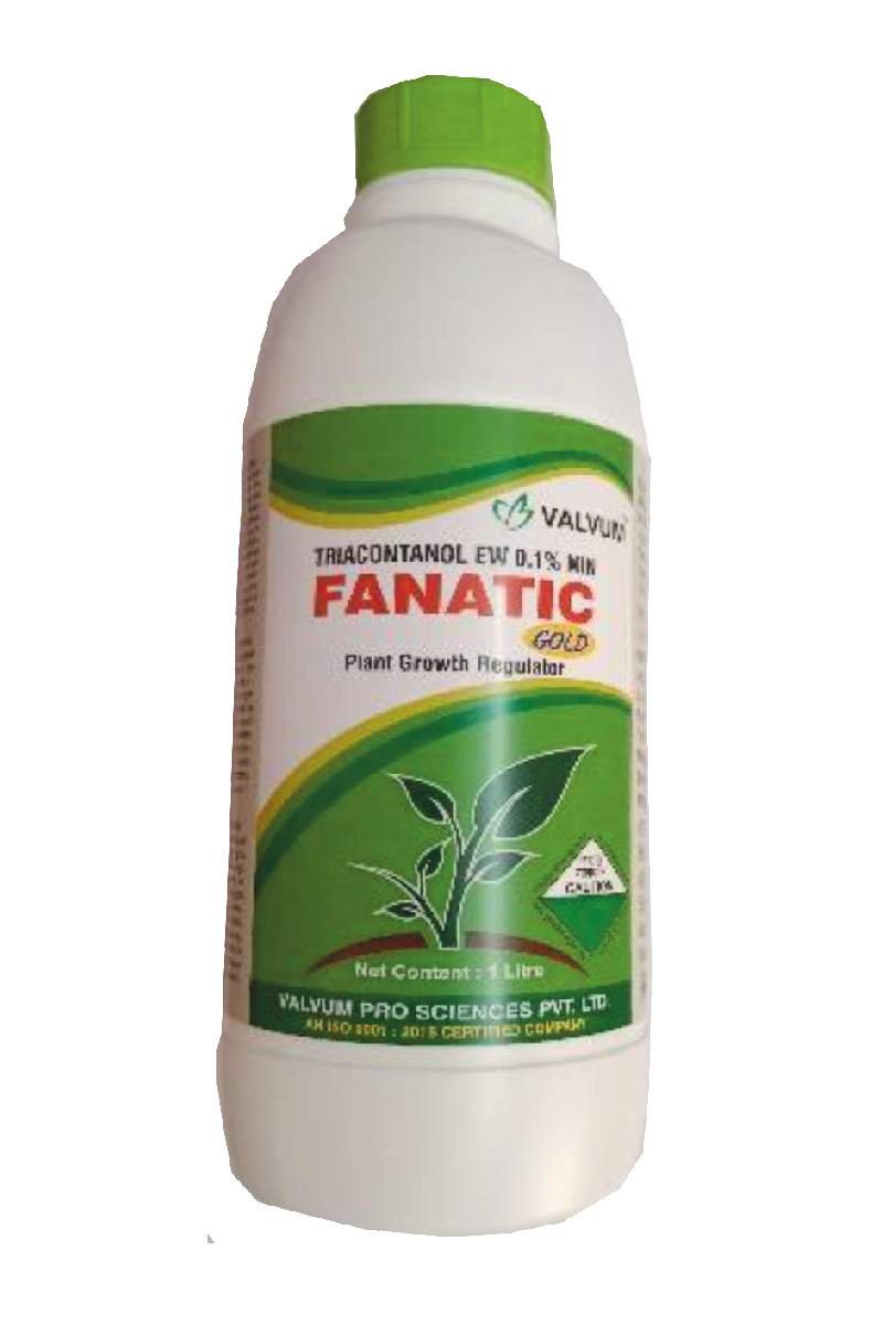 Fanatic Gold